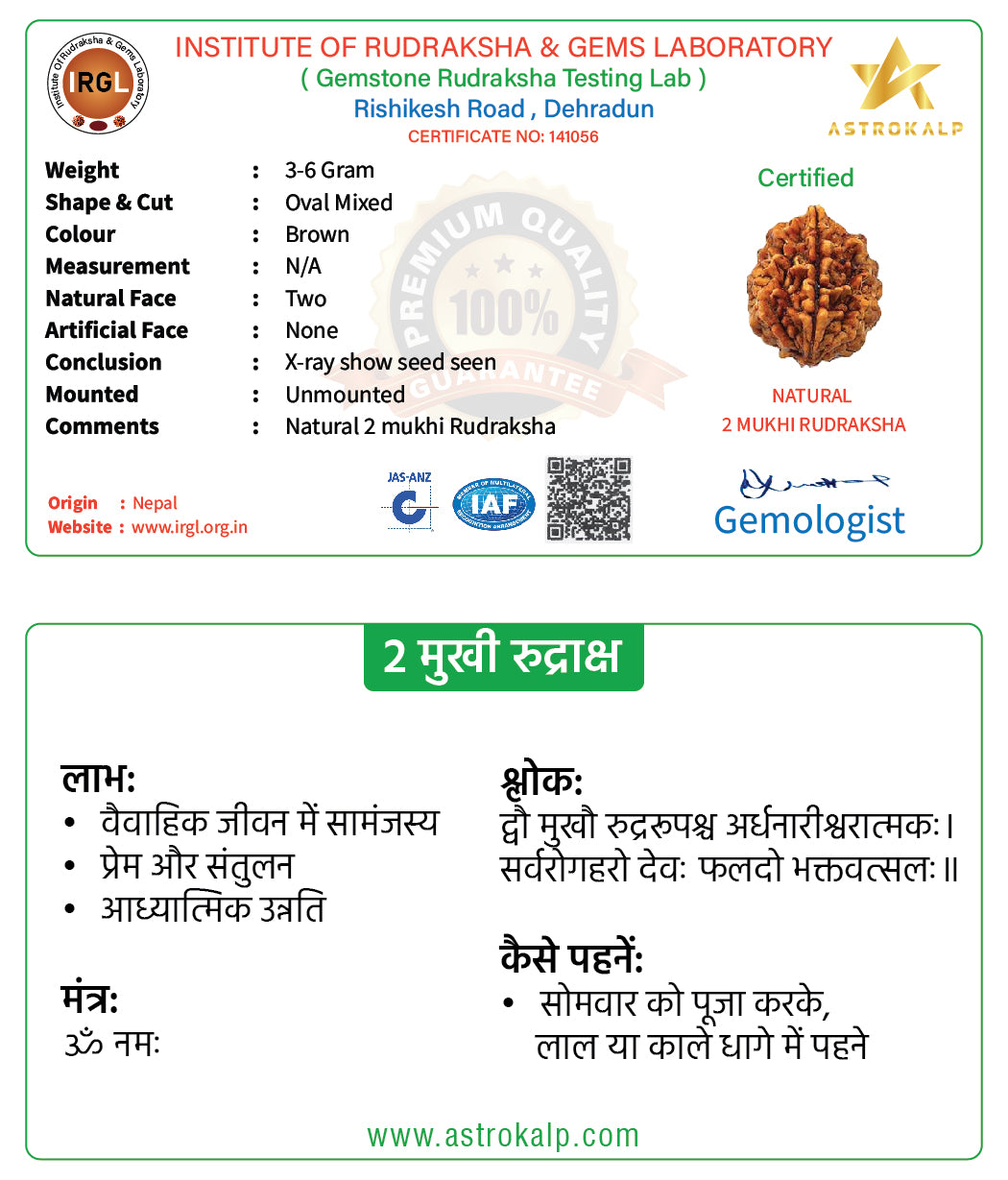 2 Mukhi Indian Rudraksha Pendnat - Do Mukhi