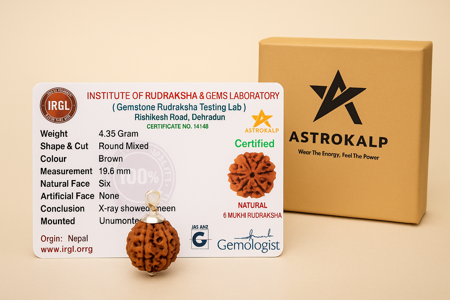 6 Mukhi Nepali Rudraksha Pendant - Chhey Mukhi