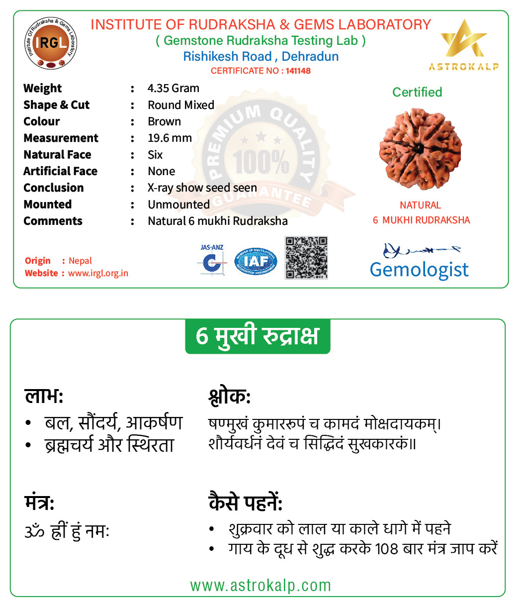 6 Mukhi Nepali Rudraksha Pendant - Chhey Mukhi
