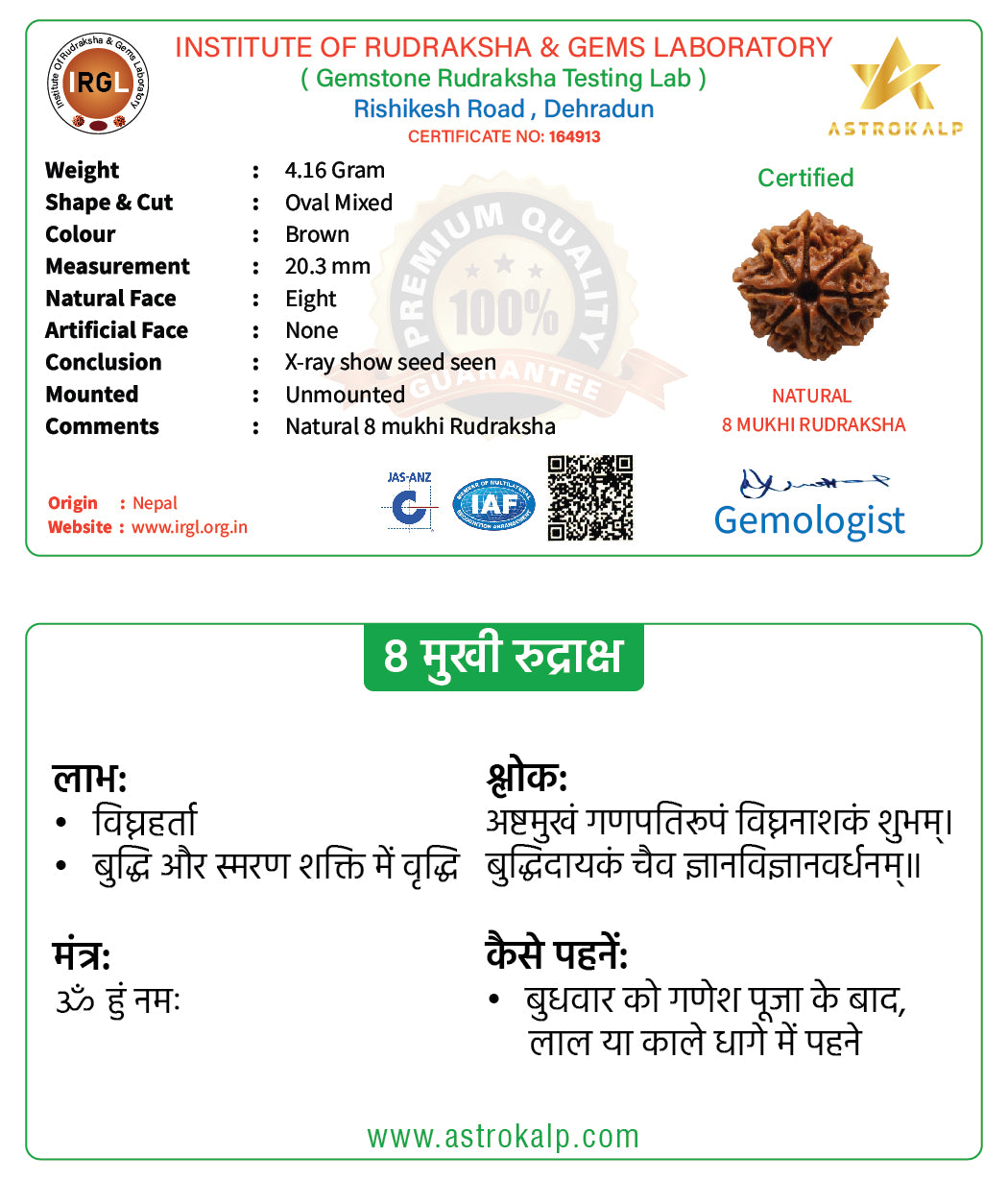 8 Mukhi Nepali Rudraksha Pendant - Aath Mukhi