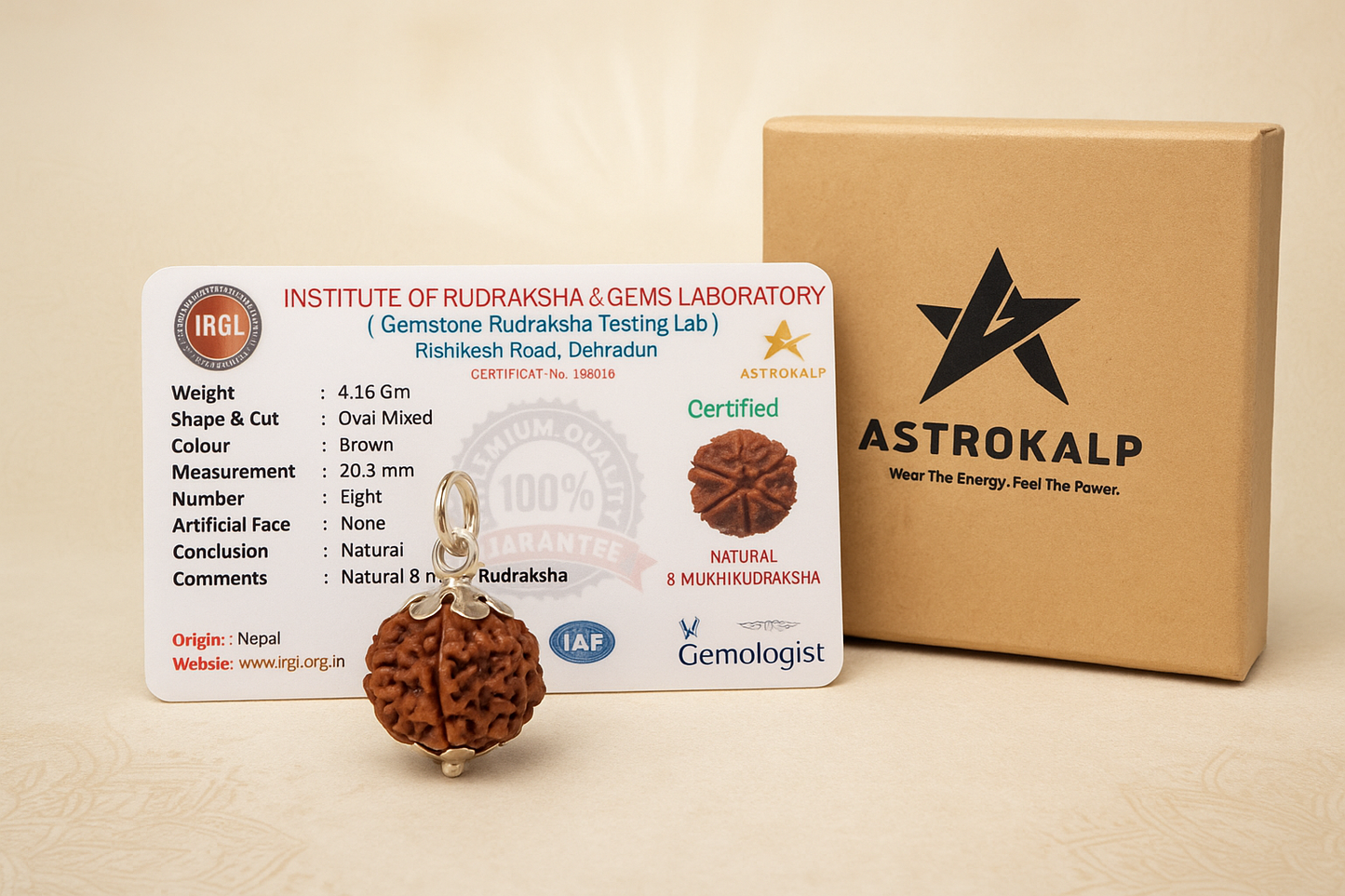8 Mukhi Nepali Rudraksha Pendant - Aath Mukhi