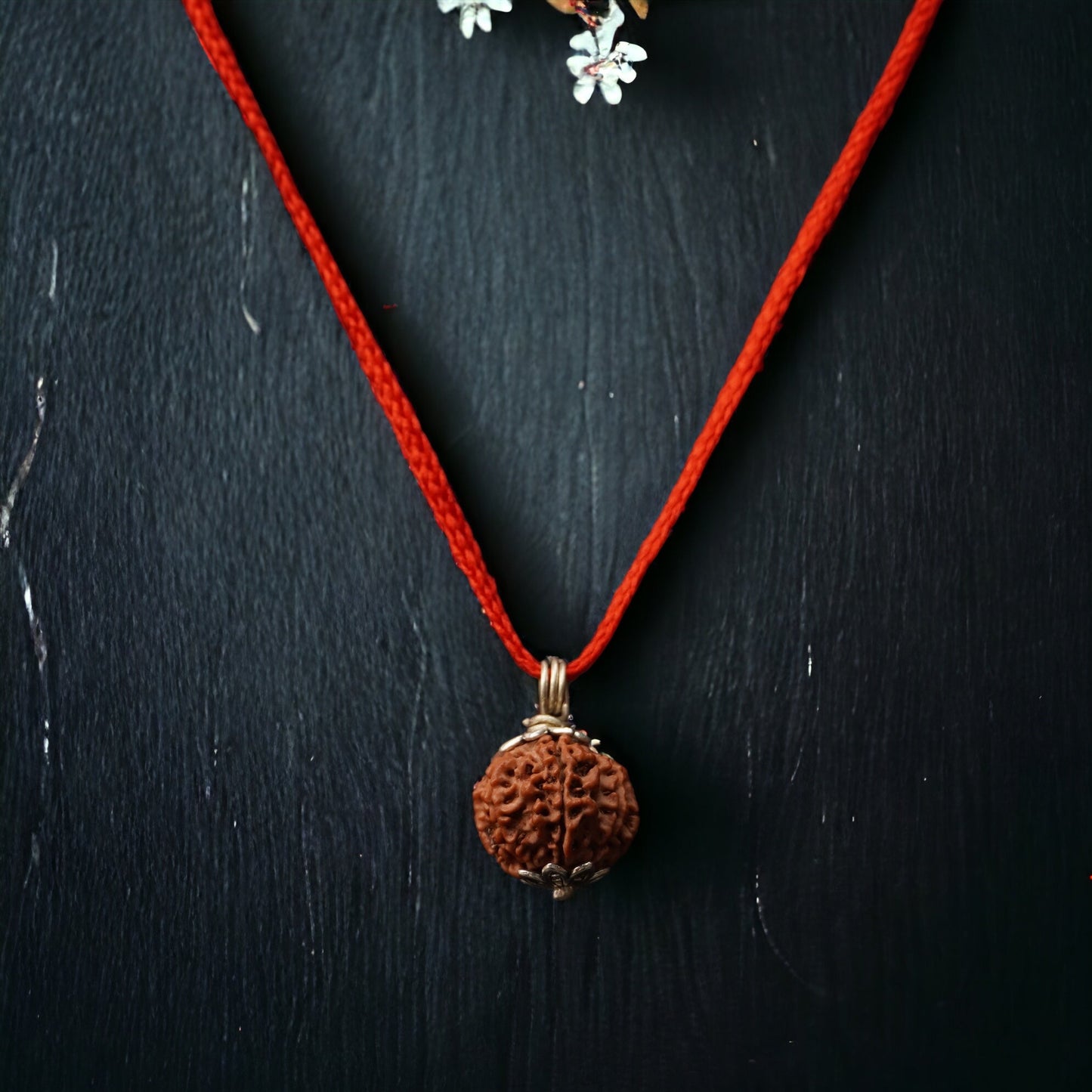 8 Mukhi Nepali Rudraksha - Aath Mukhi