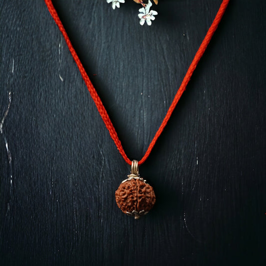 8 Mukhi Nepali Rudraksha - Aath Mukhi