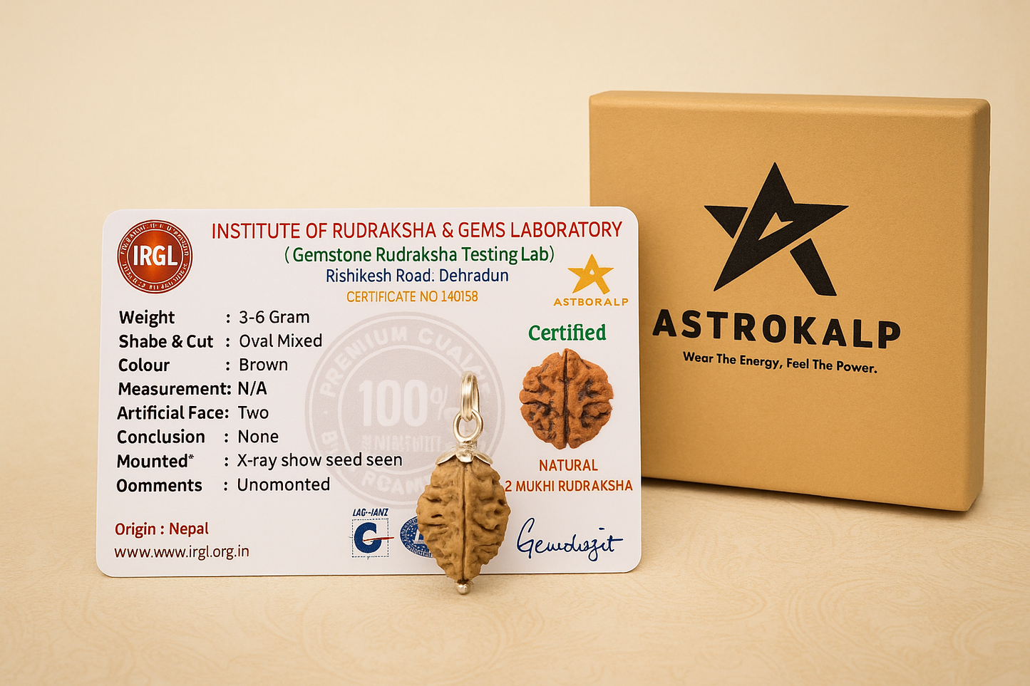 2 Mukhi Indian Rudraksha Pendnat - Do Mukhi